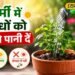 गर्मी में पौधों पर भारी पड़ सकती है ये एक गलती, जानिए पानी देने का गलत तरीका कितना घातक