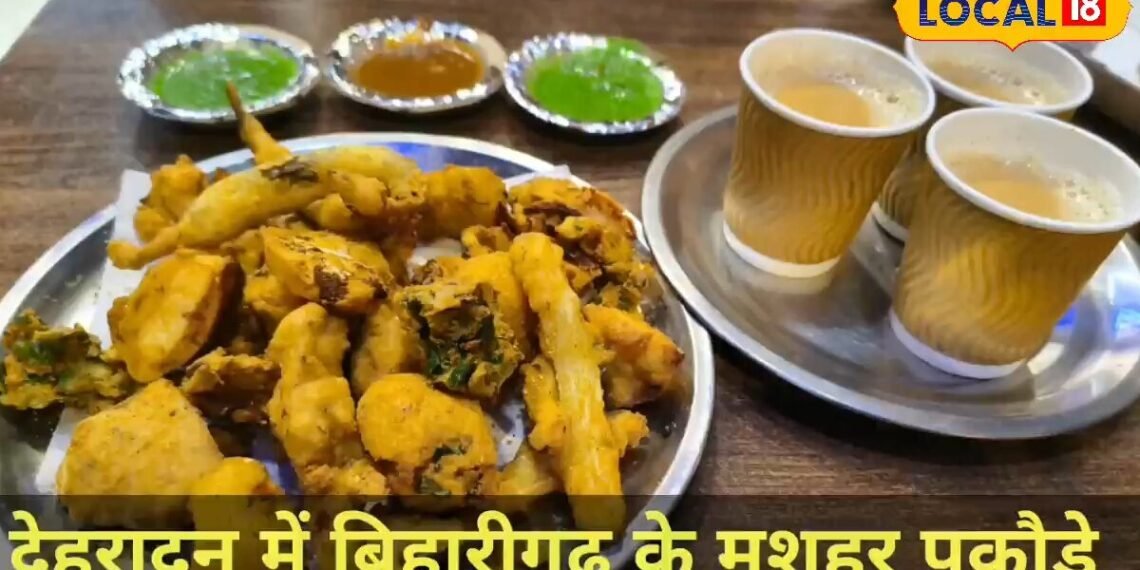 क्या आप भी मिस कर रहे बिहारीगढ़ के पकौड़े? अब दिल्ली-देहरादून एक्सप्रेसवे पर ही मिलेगा गरमा गरम, जानिए कैसे?
