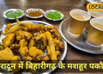 क्या आप भी मिस कर रहे बिहारीगढ़ के पकौड़े? अब दिल्ली-देहरादून एक्सप्रेसवे पर ही मिलेगा गरमा गरम, जानिए कैसे?