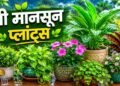 गेंदा से मोगरा तक…इन 6 पौधों से महकाएं घर, प्री-मानसून गार्डनिंग का सही समय शुरू