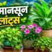 गेंदा से मोगरा तक…इन 6 पौधों से महकाएं घर, प्री-मानसून गार्डनिंग का सही समय शुरू
