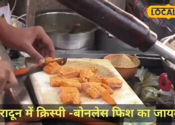 बजट में फिट और स्वाद में हिट! नॉनवेज लवर के लिए खास है देहरादून की यह दुकान, जहां बिना काटे वाली बिकती मछली
