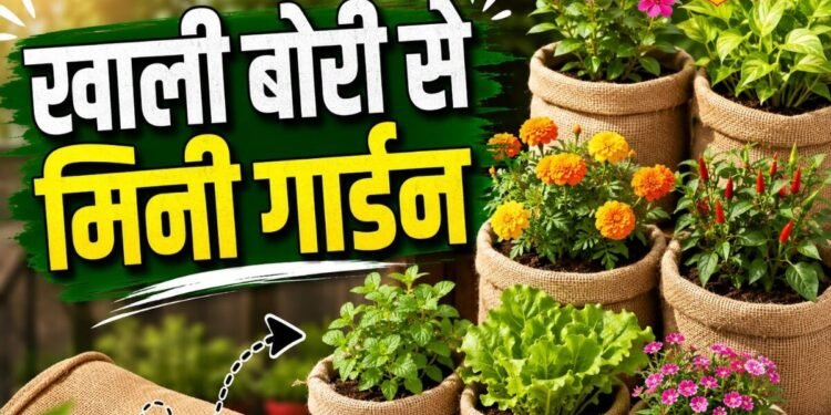 बनाना है फ्री वाला ग्रो बैग? नहीं होगा एक भी रुपया खर्च, फेंकने से पहले रुक जाइए ये चीज